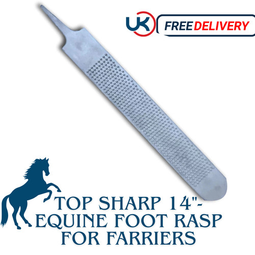 Double sided horse hoof - double, 14"