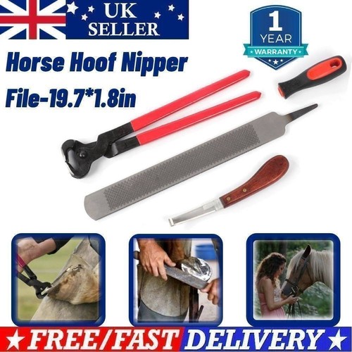 Farriers tools horse rasp - horse,