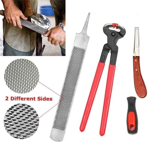 Farriers tools horse hoof - farriers,