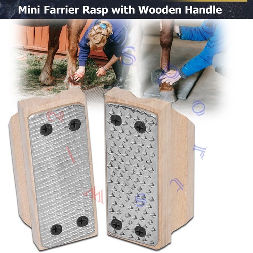 Mini farrier rasp - with, wooden