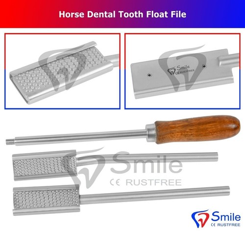 Equine dental horse farriers - equine,