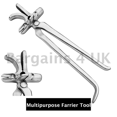 Professional farrier - professional,