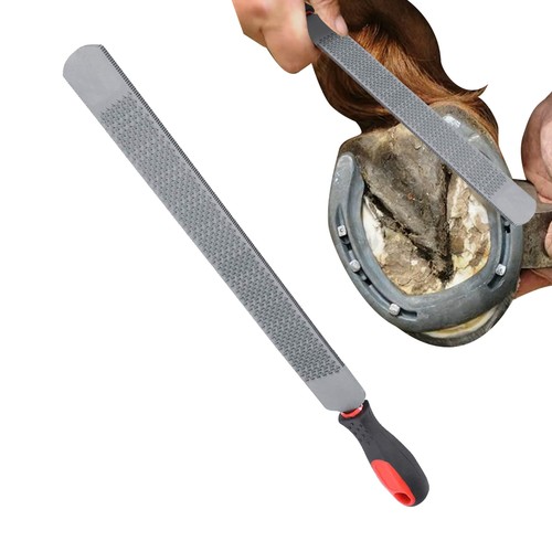Horse hoof rasp double sided - rasp,