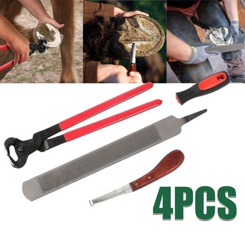 Farriers tools horse - farriers,