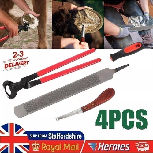 Farriers tools horse hoof - farriers,