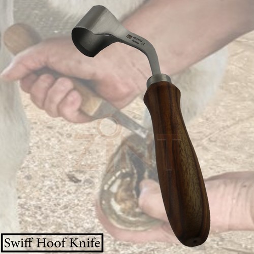 Hoof farrier tool horse care - tool,